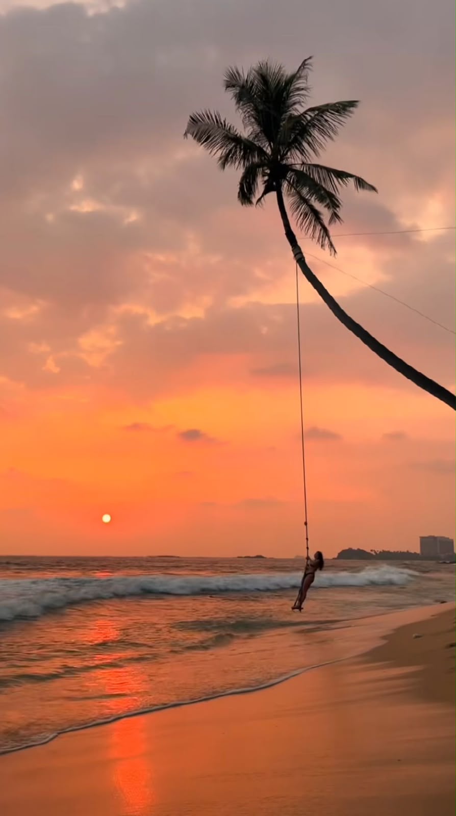 Wild Romance in Ceylon